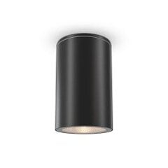 Maytoni Наружный потолочный светильник Roll O307CL-01B черный цена и информация | Уличные светильники | pigu.lt