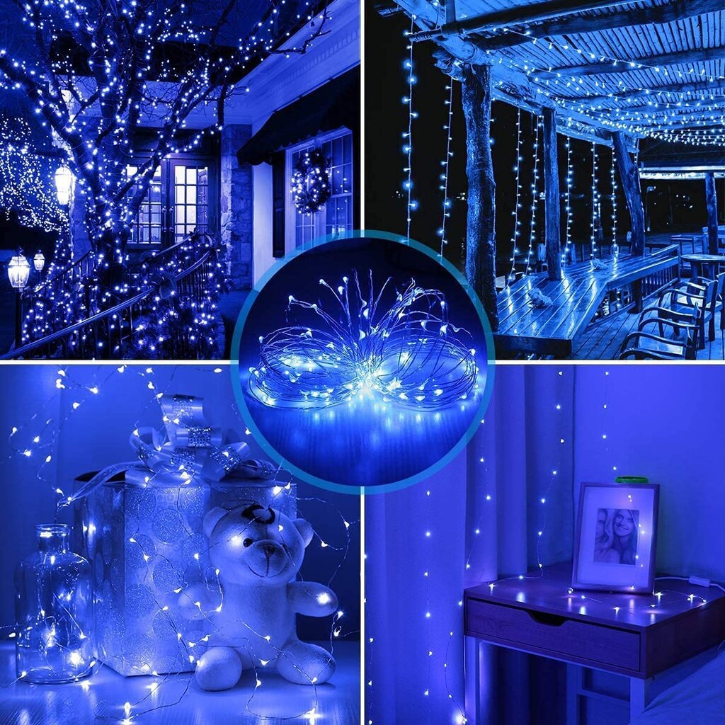 Erwawee kalėdinės lemputės, 1000 LED, 100 m, mėlynos spalvos kaina | pigu.lt