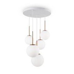 Maytoni Modern Pendant lamp Basic form MOD321PL-05G Gold kaina ir informacija | Lubiniai šviestuvai | pigu.lt