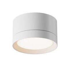 Maytoni Technical Ceiling Lamp Hoop C086CL-GX53-SRD-W White White kaina ir informacija | Lubiniai šviestuvai | pigu.lt