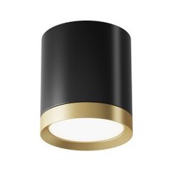 Maytoni Technical Ceiling Lamp Hoop C086CM-GX53-MRD-BG Juoda su auksu kaina ir informacija | Lubiniai šviestuvai | pigu.lt