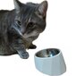Dubenėlis kačių maistui Msbc kaina ir informacija | Dubenėliai, dėžės maistui | pigu.lt