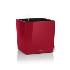 Lechuza vazonai Cube Premium 50 cm kaina ir informacija | Vazonai | pigu.lt