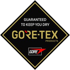 Женские горнолыжные перчатки с мембраной Ziener Gore-Tex Kofel, 801107-12-8.5 цена и информация | Женские перчатки | pigu.lt