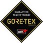 Slidinėjimo pirštinės moterims Ziener Gore-Tex Kofel 801107 kaina ir informacija | Moteriškos pirštinės | pigu.lt