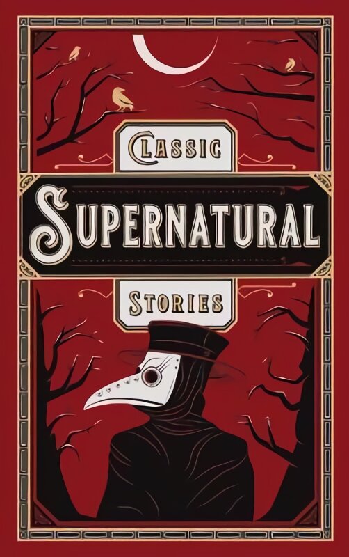 Classic supernatural stories цена и информация | Fantastinės, mistinės knygos | pigu.lt