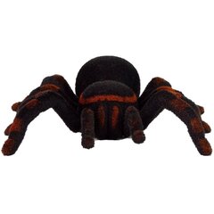 Nuotoliniu būdu valdomas voras Tarantula Black R/C Spider, juodas цена и информация | Игрушки для мальчиков | pigu.lt