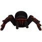 Nuotoliniu būdu valdomas voras Tarantula Black R/C Spider, juodas kaina ir informacija | Žaislai berniukams | pigu.lt