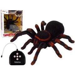 Nuotoliniu būdu valdomas voras Tarantula Black R/C Spider, juodas цена и информация | Игрушки для мальчиков | pigu.lt