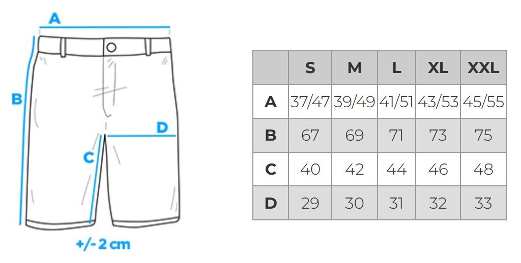 Šortai vyrams Ombre Clothing P29, pilki цена и информация | Vyriški šortai | pigu.lt