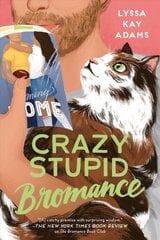 Crazy Stupid Bromance цена и информация | Фантастика, фэнтези | pigu.lt