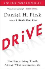 Drive: The Surprising Truth About What Motivates Us цена и информация | Книги по экономике | pigu.lt