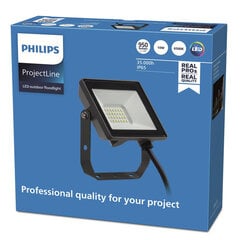Lauko šviestuvas Philips ProjectLine 10 W 950 Lm 6500 K kaina ir informacija | Philips Sodo prekės | pigu.lt