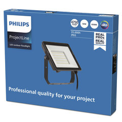 Lauko šviestuvas Philips ProjectLine 4750 Lm 50 W 6500 K kaina ir informacija | Lauko šviestuvai | pigu.lt