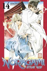 Noragami Volume 3: Stray God, Volume 3 цена и информация | Комиксы | pigu.lt