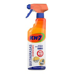 KH7 nuriebintojas, 650 ml kaina ir informacija | Valikliai | pigu.lt