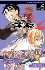 Nisekoi False Love kaina ir informacija | Komiksai | pigu.lt