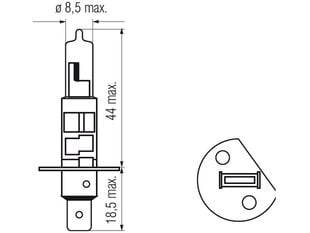 Lemputė H1, 12V, 55W, LLHD kaina ir informacija | Automobilių lemputės | pigu.lt