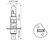 Lemputė H1, 55W, 12V, P14,5s цена и информация | Automobilių lemputės | pigu.lt