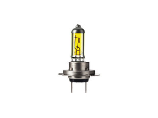 Lemputė H7, 55W, 12V, PX26d цена и информация | Автомобильные лампочки | pigu.lt