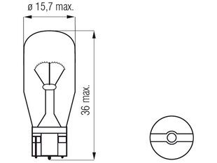 Lemputė T15, 15W цена и информация | Автомобильные лампочки | pigu.lt