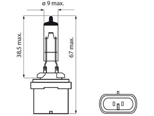 Lemputė 12,8V, 37,5W, Black Top kaina ir informacija | Automobilių lemputės | pigu.lt