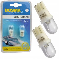 2x Bosma Led Lemputė W5w Wy5w W10w W16w T10 Standby kaina ir informacija | Automobilių 12V el. priedai | pigu.lt