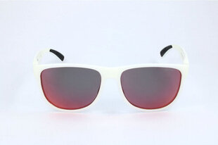 Мужские солнечные очки Polaroid PLD3004-S-PLM цена и информация | Легкие и мощные прозрачные защитные очки для велосипедов | pigu.lt