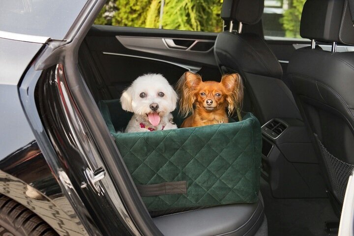 Amibelle automobilio gultas gyvūnams, žalias, 25 cm x 50 cm kaina ir informacija | Kelioniniai reikmenys | pigu.lt