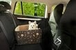 Kompaktiška šuns kėdutė automobiliui Amibelle Emma Gold L kaina ir informacija | Transportavimo narvai, krepšiai | pigu.lt