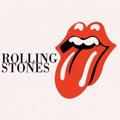 Tapyba pagal skaičius The Rolling Stones, 40x40 kaina ir informacija | Tapyba pagal skaičius | pigu.lt