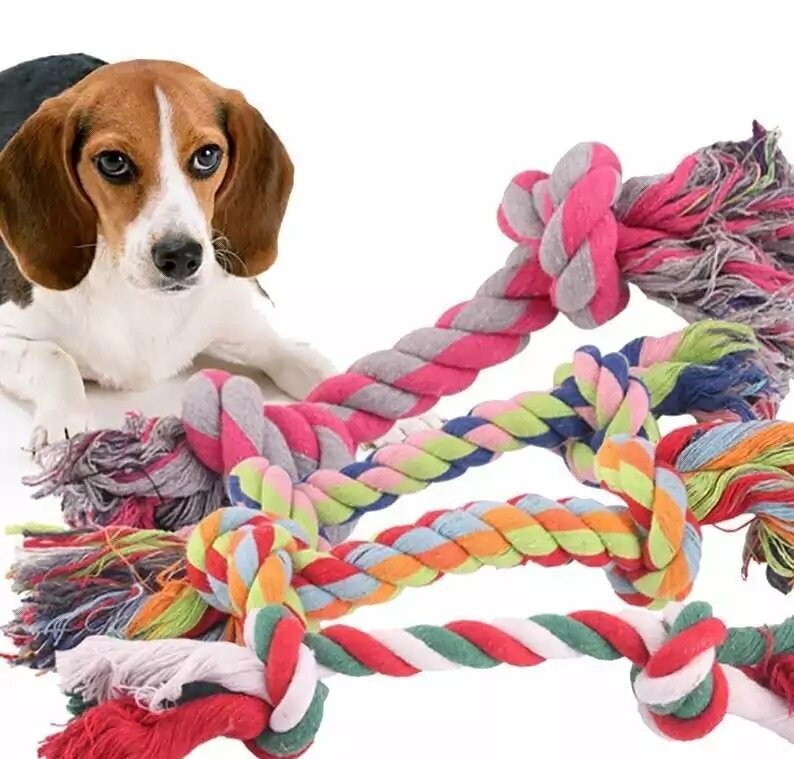 Šuns žaislas Virvė, 18 cm kaina ir informacija | Žaislai šunims | pigu.lt
