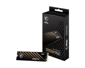 Жесткий диск MSI SPATIUM M461 500GB SSD PCIe 4.0 NVMe M.2 цена и информация | Внутренние жёсткие диски (HDD, SSD, Hybrid) | pigu.lt