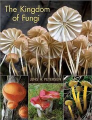 Kingdom of Fungi kaina ir informacija | Enciklopedijos ir žinynai | pigu.lt
