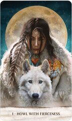 Kortos Wild woman rising Oracle цена и информация | Настольные игры, головоломки | pigu.lt