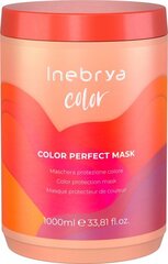 Маска для защиты цвета волос Inebrya Color Perfect, 1000 мл цена и информация | Бальзамы, кондиционеры | pigu.lt