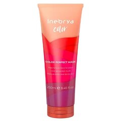 Маска для защиты цвета волос Inebrya Color Perfect, 250 мл цена и информация | Бальзамы, кондиционеры | pigu.lt