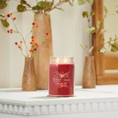 Sparkling Cinnamon - Yankee Candle Signature - большая свеча с двумя фитилями цена и информация | Подсвечники, свечи | pigu.lt