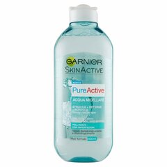 Micelinis vanduo Garnier Pure Active, 400 ml kaina ir informacija | Veido prausikliai, valikliai | pigu.lt