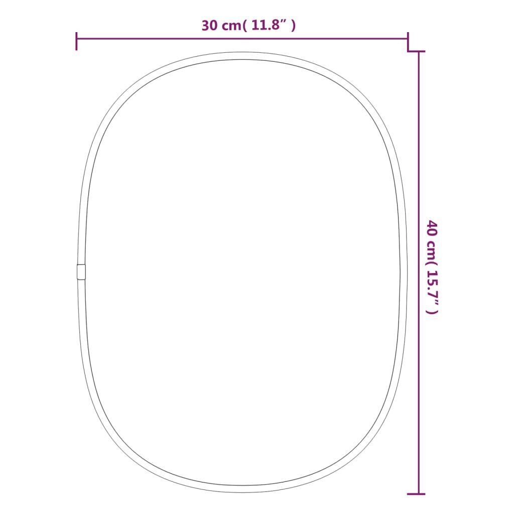 Sieninis veidrodis vidaXL, 40x30cm, sidabrinė spalva kaina ir informacija | Veidrodžiai | pigu.lt