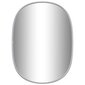 Sieninis veidrodis vidaXL, 40x30cm, sidabrinė spalva kaina ir informacija | Veidrodžiai | pigu.lt