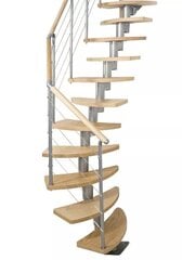 Модульная лестница DOLLE Rome, высота комплекта: 259 - 322 см цена и информация | Лестницы | pigu.lt