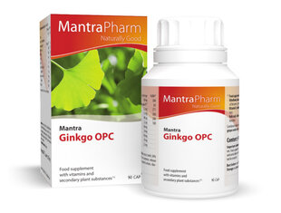 Mantra Ginkgo OPC цена и информация | Витамины, пищевые добавки, препараты для хорошего самочувствия | pigu.lt