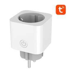 Smart plug WiFi Avatto OT02-EU TUYA kaina ir informacija | Elektros jungikliai, rozetės | pigu.lt