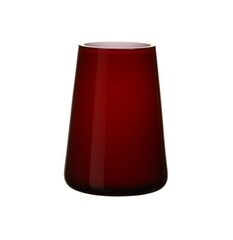 Villeroy & Boch ваза Numa Mini Deep Cherry12см цена и информация | Вазы | pigu.lt