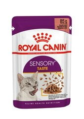 Royal Canin Sensory Taste In Gravy, 85 g kaina ir informacija | Konservai katėms | pigu.lt