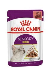 Royal Canin Sensory Smell In Gravy, 85 г. цена и информация | Консервы для кошек | pigu.lt