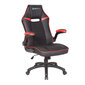 Žaidimų kėdė Newskill, juoda цена и информация | Biuro kėdės | pigu.lt