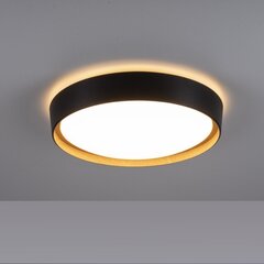 Just Light lubinis šviestuvas Emilia цена и информация | Потолочные светильники | pigu.lt