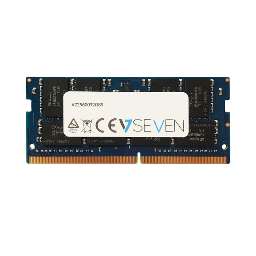 V7 V72560032GBS цена и информация | Operatyvioji atmintis (RAM) | pigu.lt